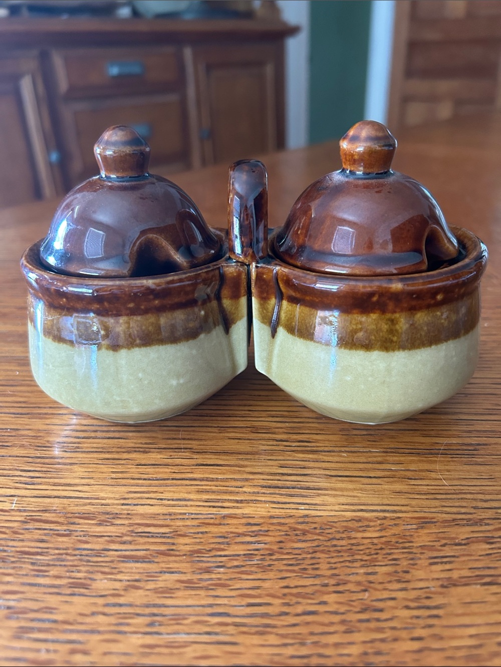 Vintage Houston Brown and Cream Ceramic Double Condiment Set